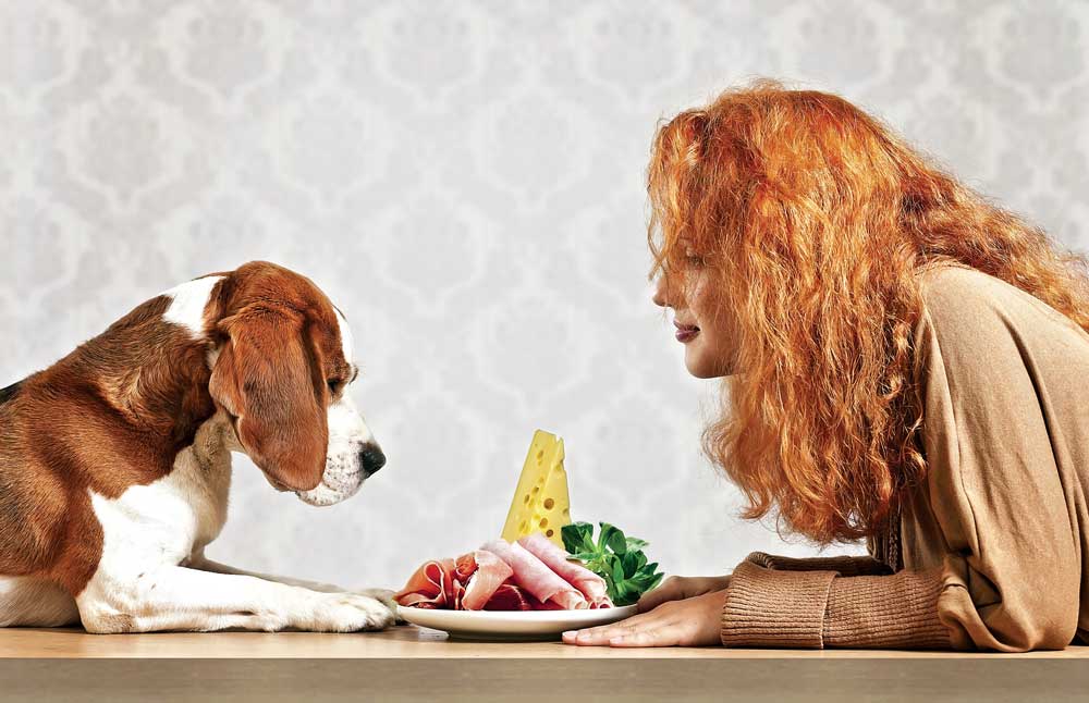 Alimentação para cachorro: 5 coisas que você precisa saber