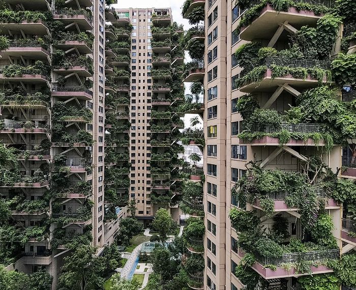Prédio com plantas mal cuidadas na China: Cidade sustentável: Espectativa x Realidade