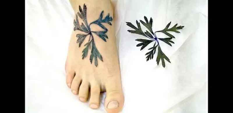 Uma folha de planta como tatuagem realista.