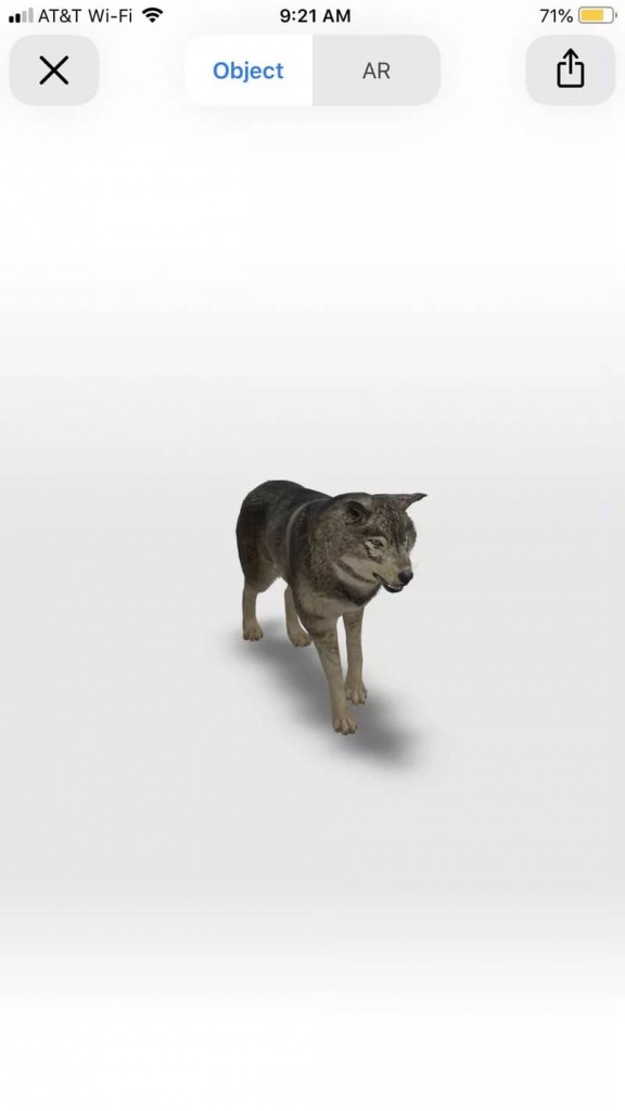Uma raposa vista em VR.