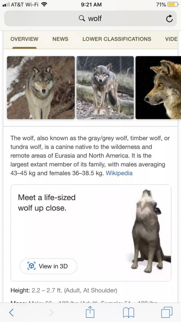 Realidade aumentada do Google projeta animais no mundo real