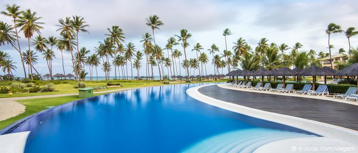 Uma pscina, de um resort em Salvador, com água incrivelmente azul tendo ao fundo dezenas de aplmeiras com mais de dez metros.